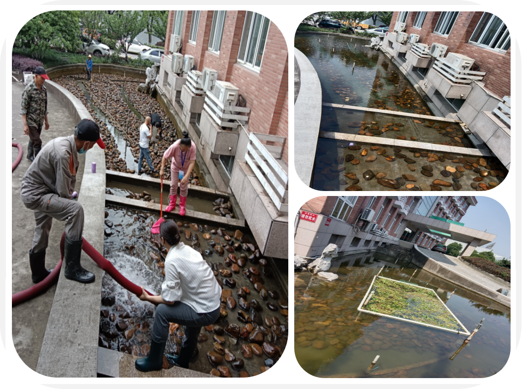 煥然一新，園區(qū)景觀池迎來“大洗之日”