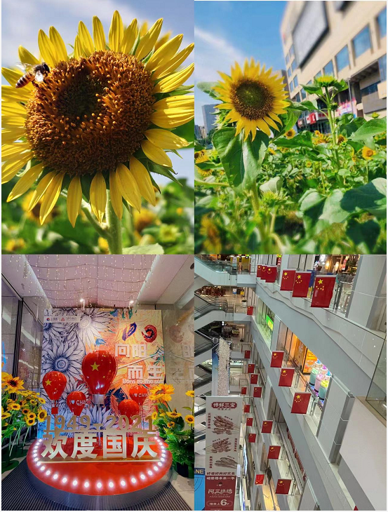 盛世華誕，水晶城喜迎國慶