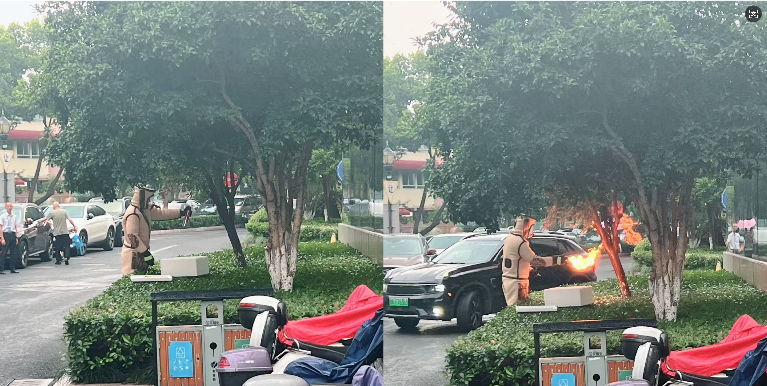 安全守護零距離，水晶城快速處置外圍蜂群隱患