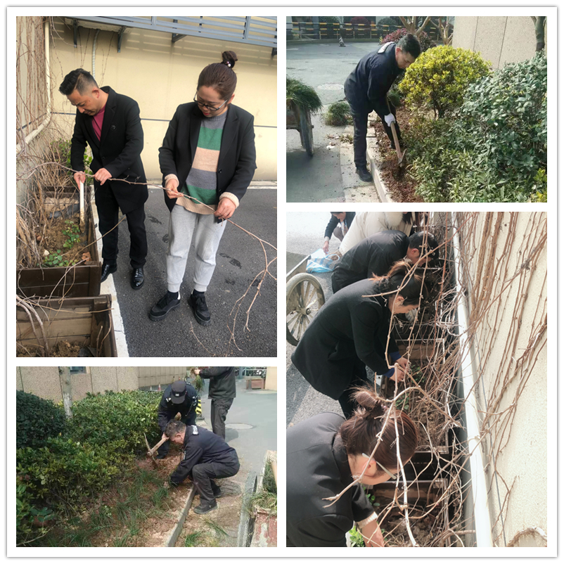 春季綠化正當(dāng)時(shí)——建華文創(chuàng)集團(tuán)扎實(shí)開展環(huán)境提升